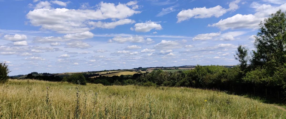 Fair Oak & Boyatt Wood area