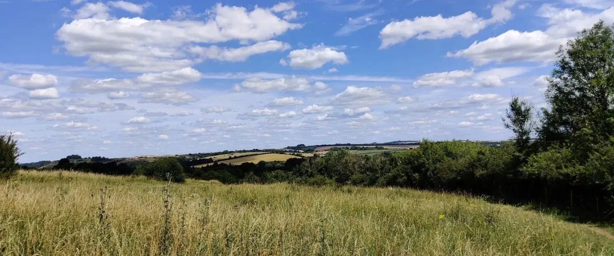 Fair Oak & Boyatt Wood area