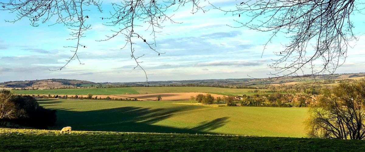Meon Valley area