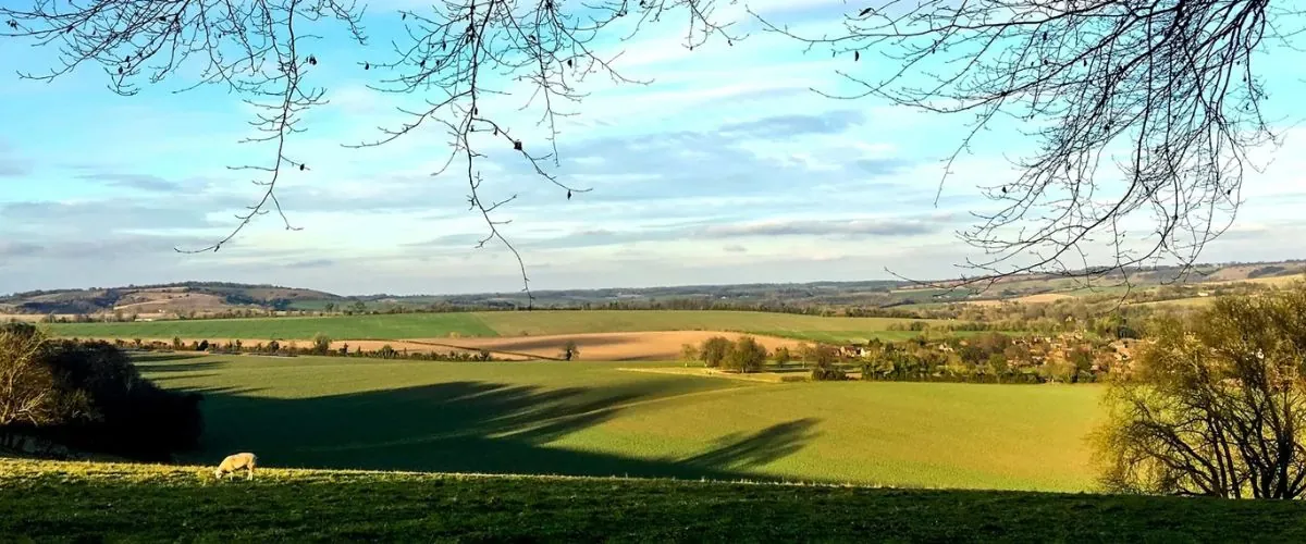 Meon Valley area
