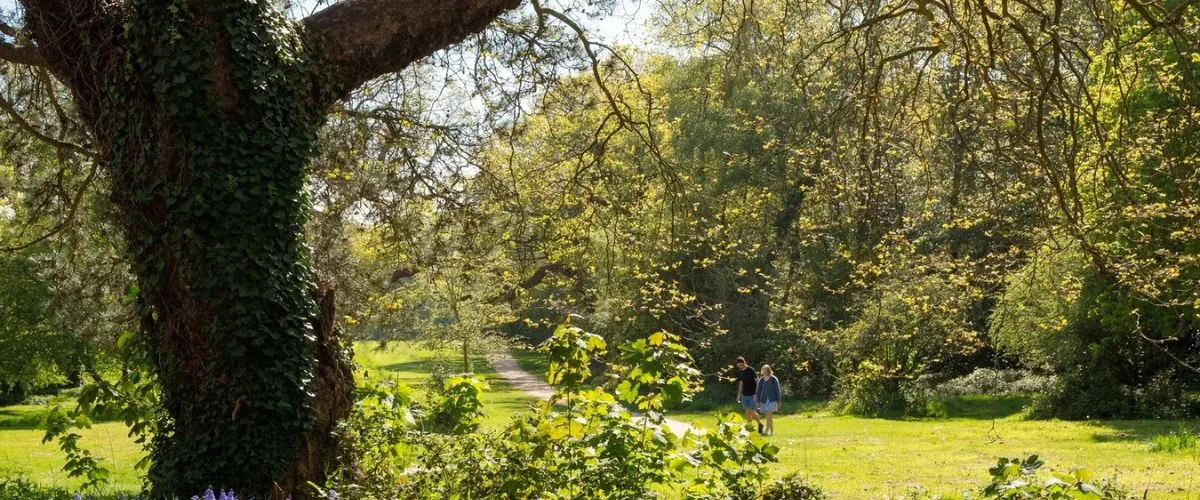 West End & Boorley Green area