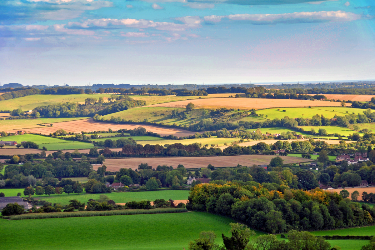 Hampshire countryside
