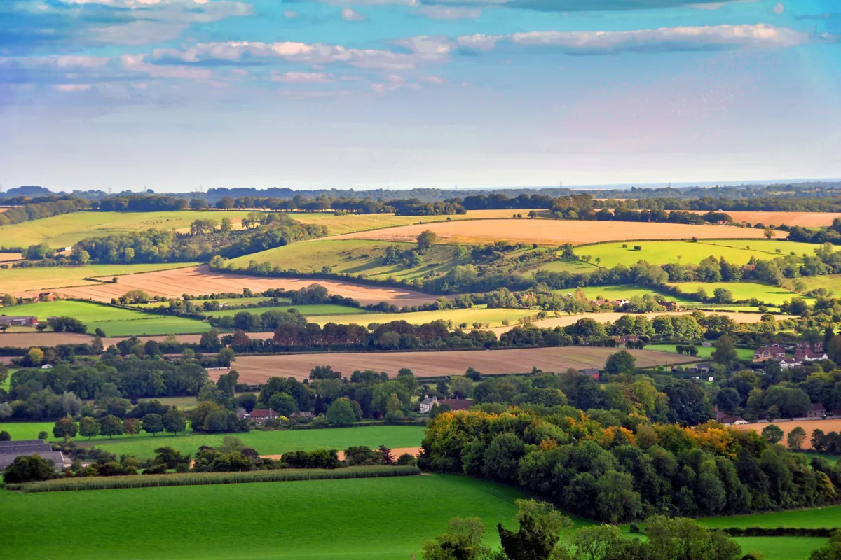 Hampshire countryside